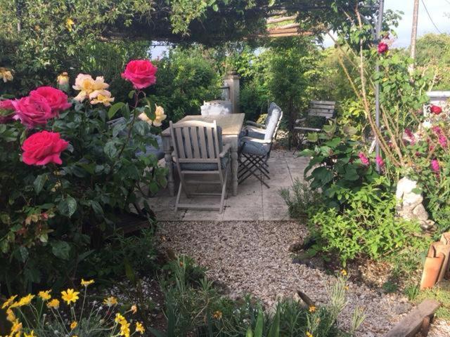 Chez Brown Bed and Breakfast Saint-Thomas-de-Cônac Exteriör bild