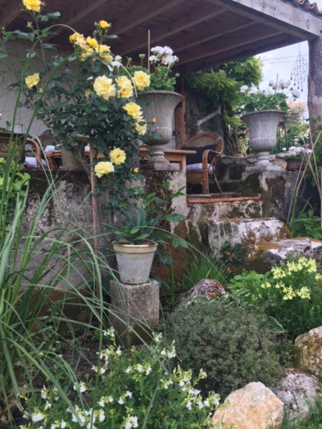 Chez Brown Bed and Breakfast Saint-Thomas-de-Cônac Exteriör bild